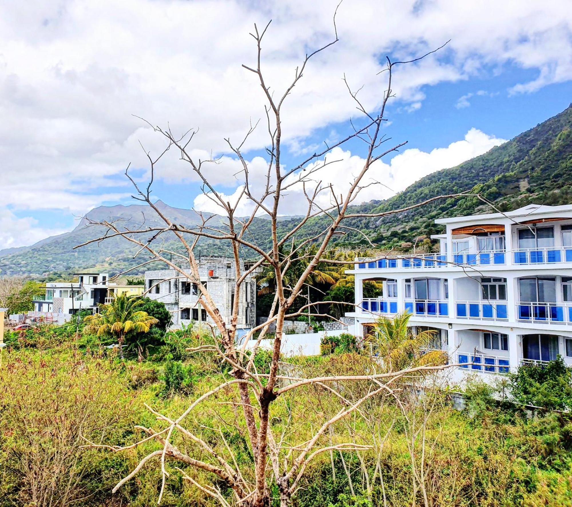 Surf House Otel La Gaulette Oda fotoğraf